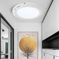 Magnetic Motion Sensor Ceiling Light with Remote